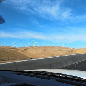 Meet your Posher, Harry